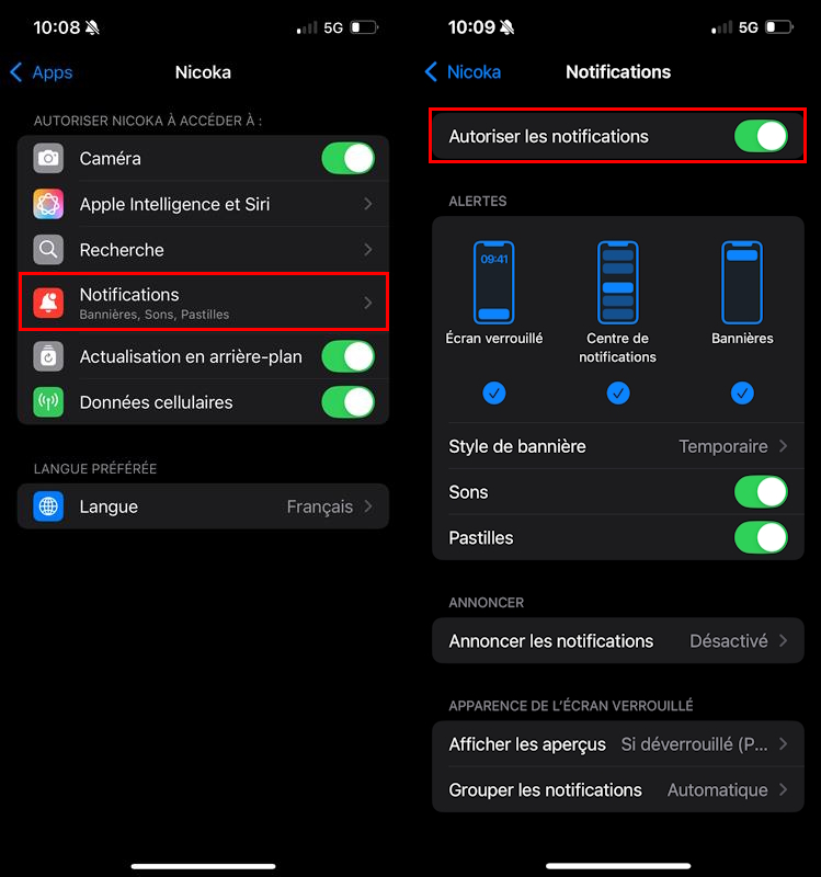 iPhone settings: Nicoka notifications allowed with the three alert types
