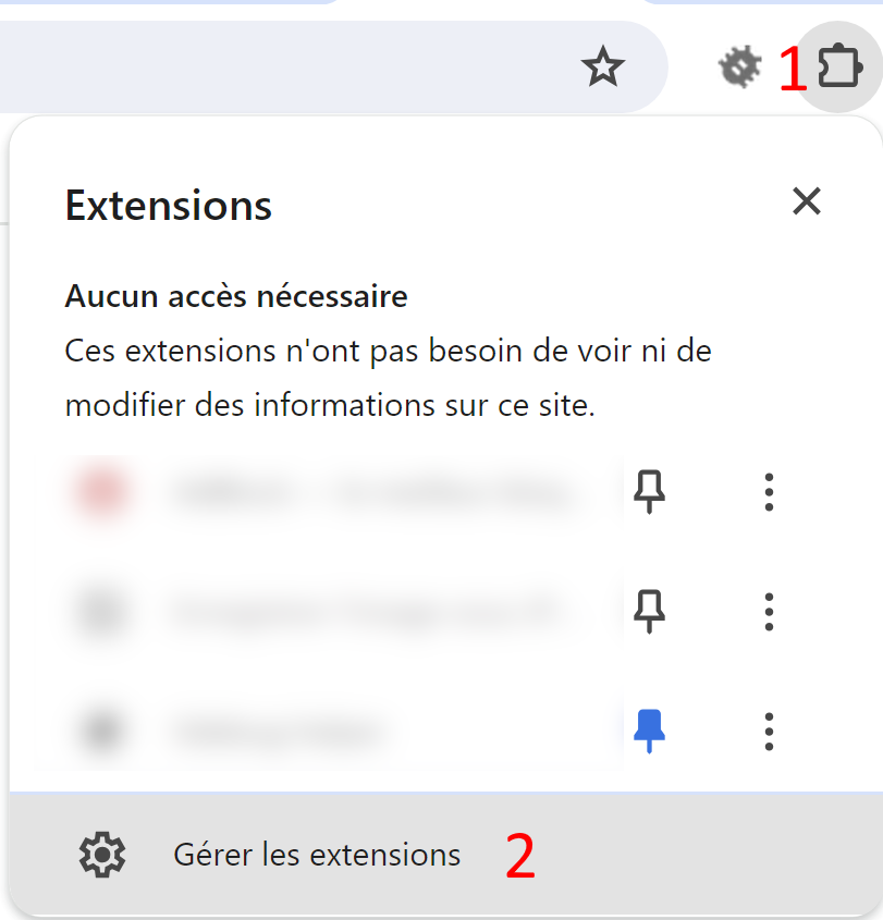 Menu Extensions de Google Chrome avec l'entrée Gérer les extensions