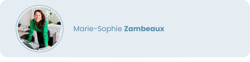 Profil LinkedIn Marie-Sophie Zambeaux